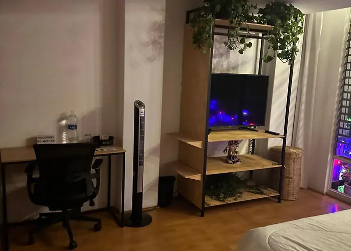 Lovely Room In Roma Norte