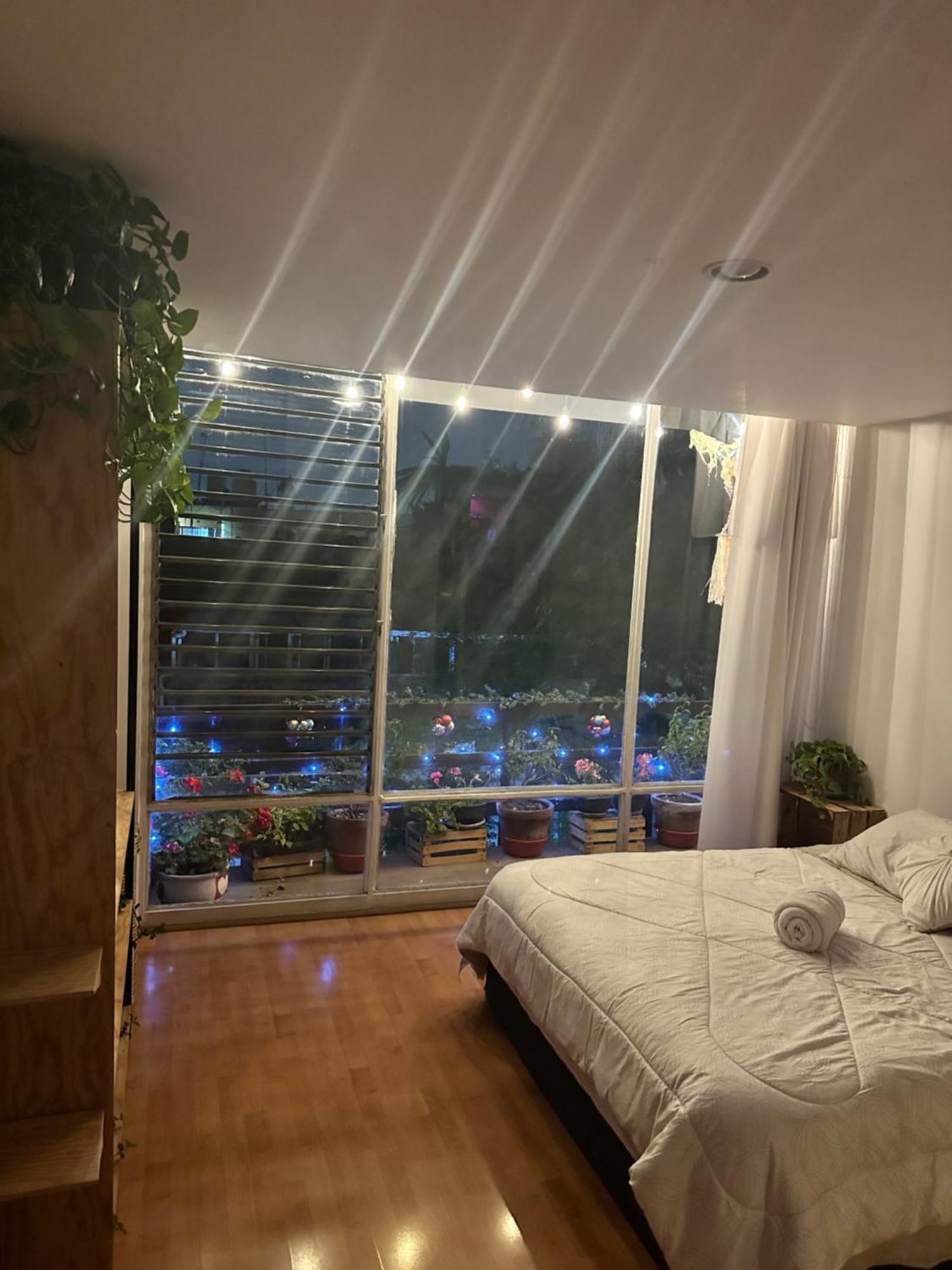 Accommodatie bij particulieren Lovely In Roma Norte Mexico-stad