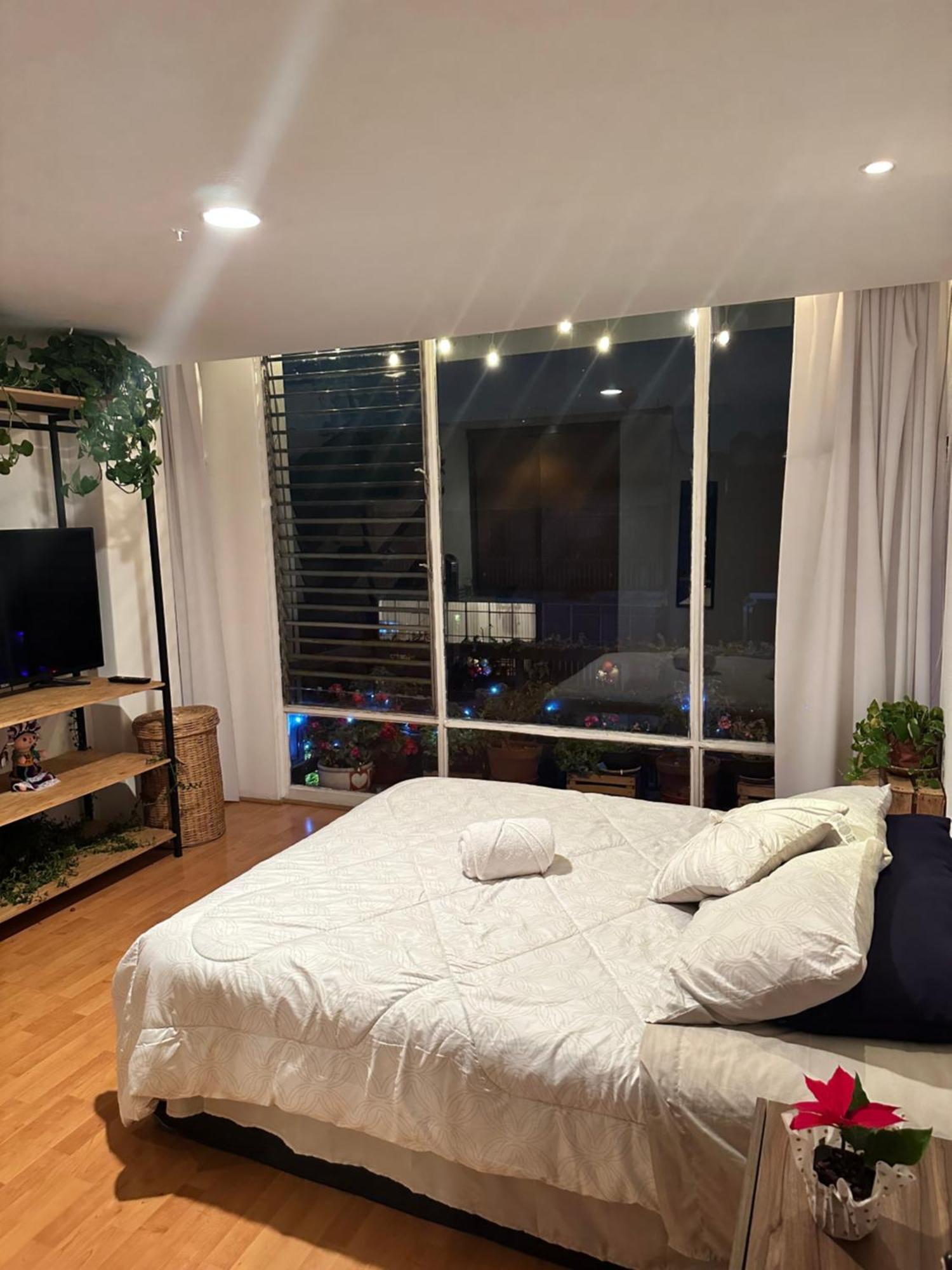 Homestay Lovely In Roma Norte Mexico City